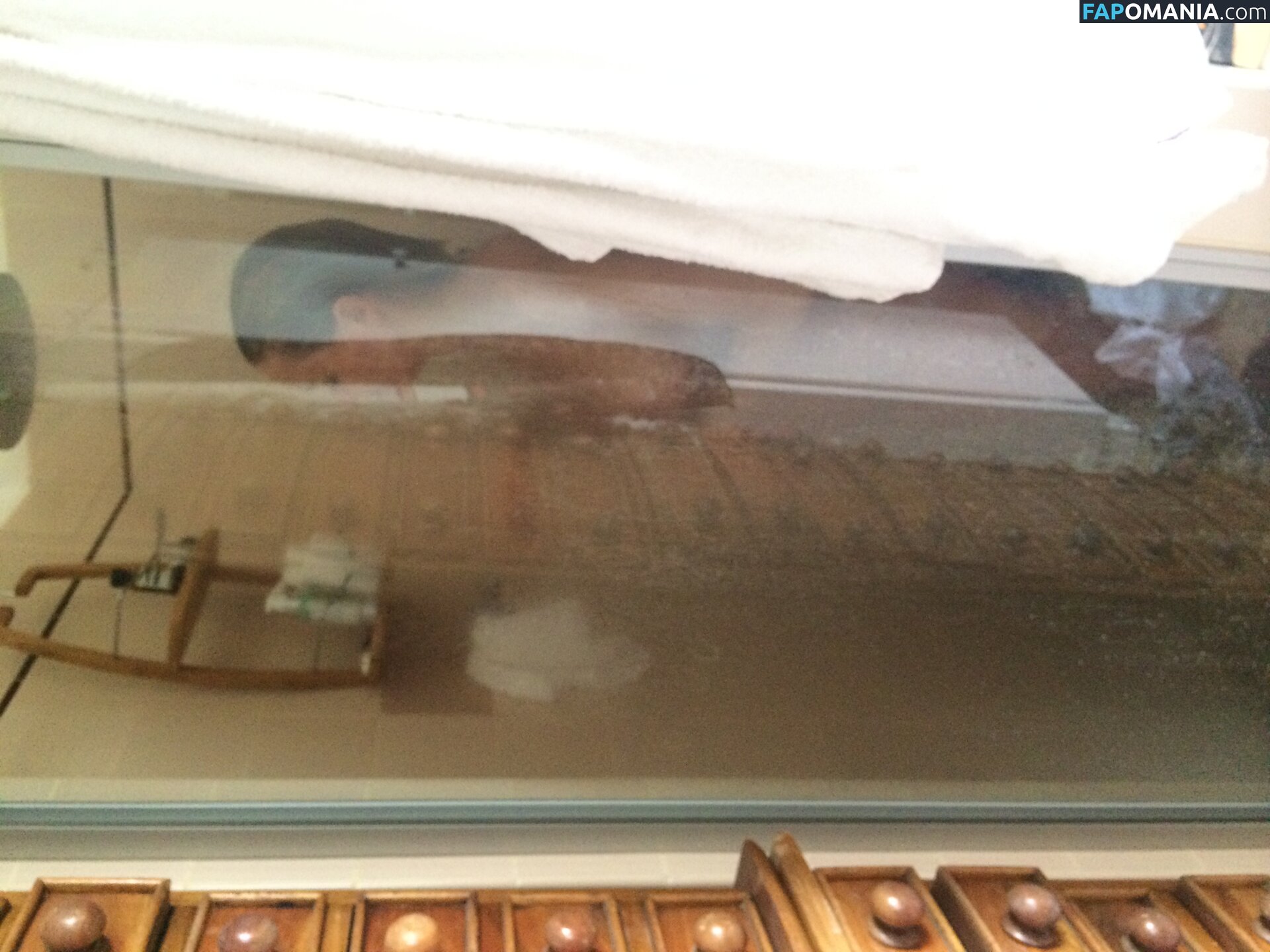 Lara Bingle Naken Läckta Foto #245