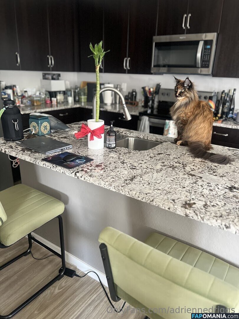 adrienne.driggs / adriennedriggs Naken OnlyFans  Läckta Foto #9