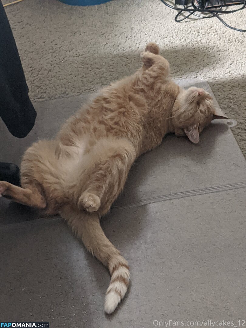 allycakes_12 Naken OnlyFans  Läckta Foto #3