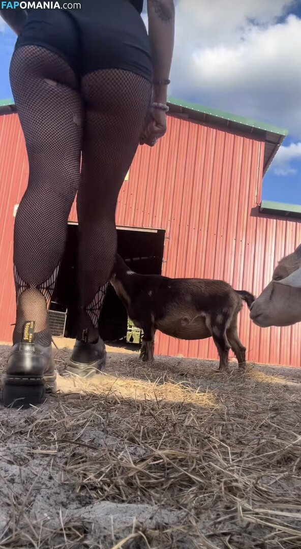 angelzfal / angelzitlally Naken OnlyFans  Läckta Foto #6