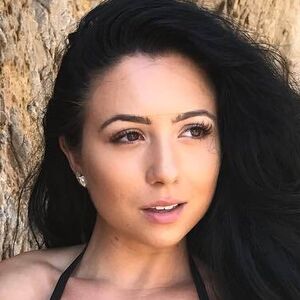 Ashleynocera
