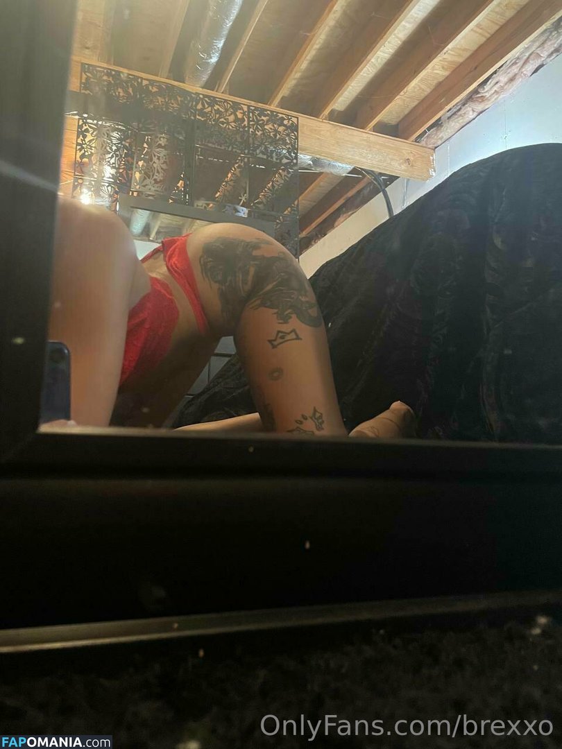 brexxo Naken OnlyFans  Läckta Foto #55
