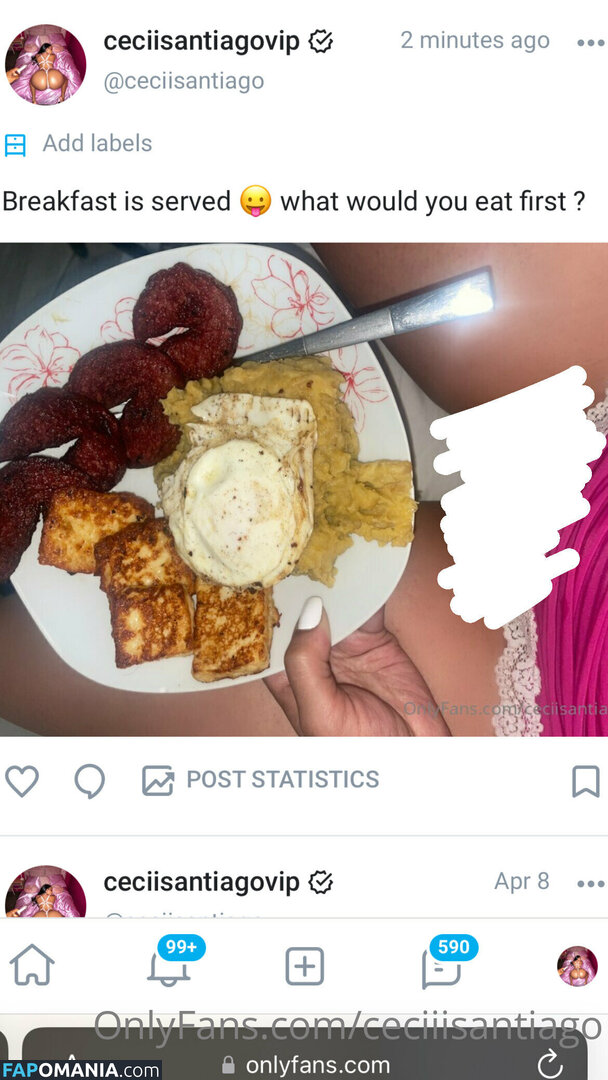 ceci_santiago / ceciiisantiago Naken OnlyFans  Läckta Foto #18