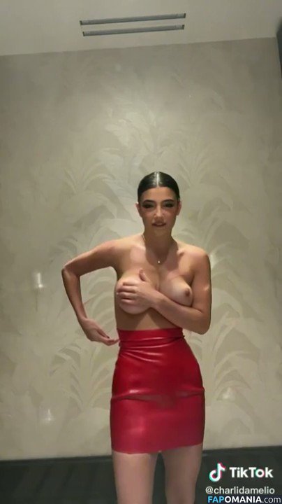 Charli D'Amelio / Charli Damelio / charlidamelio / charliesdamelio Naken OnlyFans  Läckta Foto #72