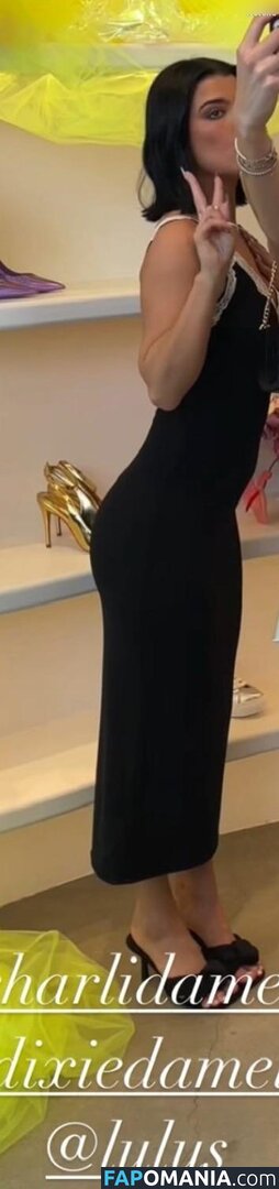 Charli D'Amelio / Charli Damelio / charlidamelio / charliesdamelio Naken OnlyFans  Läckta Foto #1287