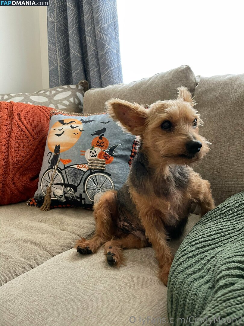 cindymoon007 / cindymoon7 Naken OnlyFans  Läckta Foto #280