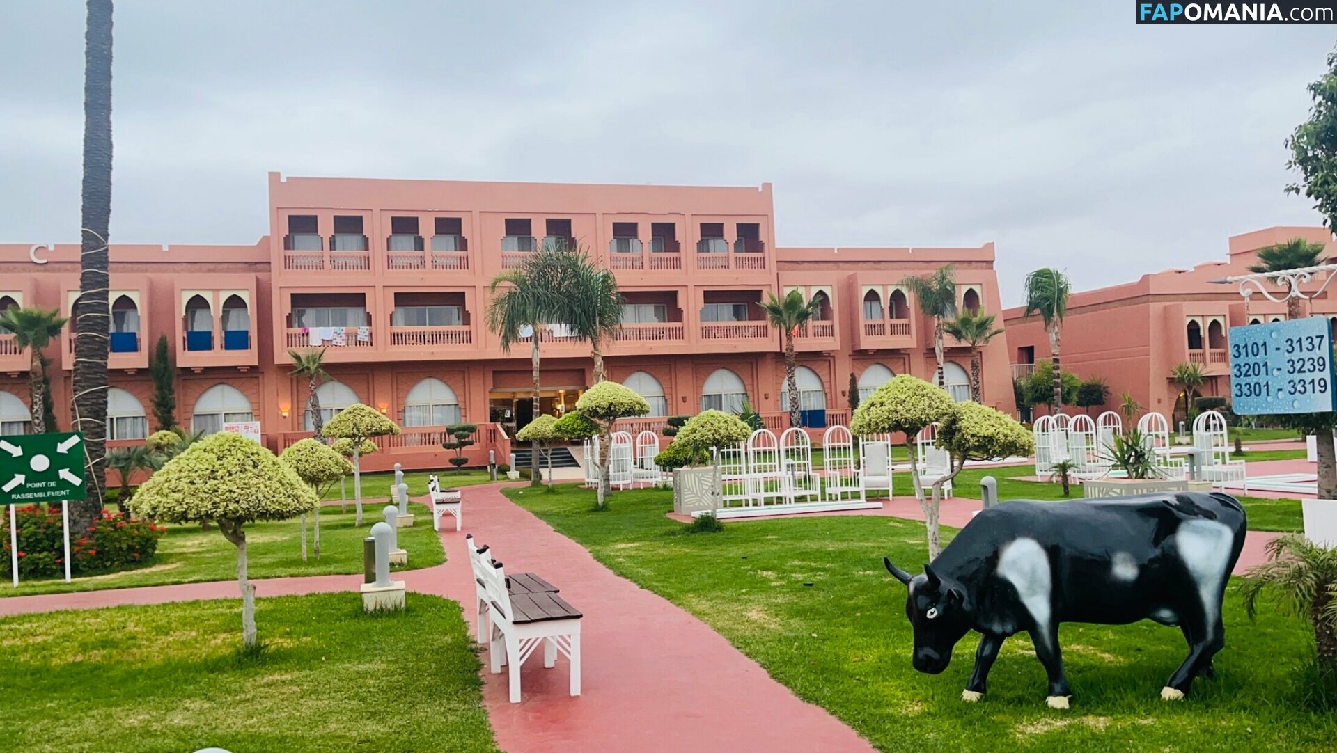 chloz.ee / coco-lls Naken OnlyFans  Läckta Foto #7