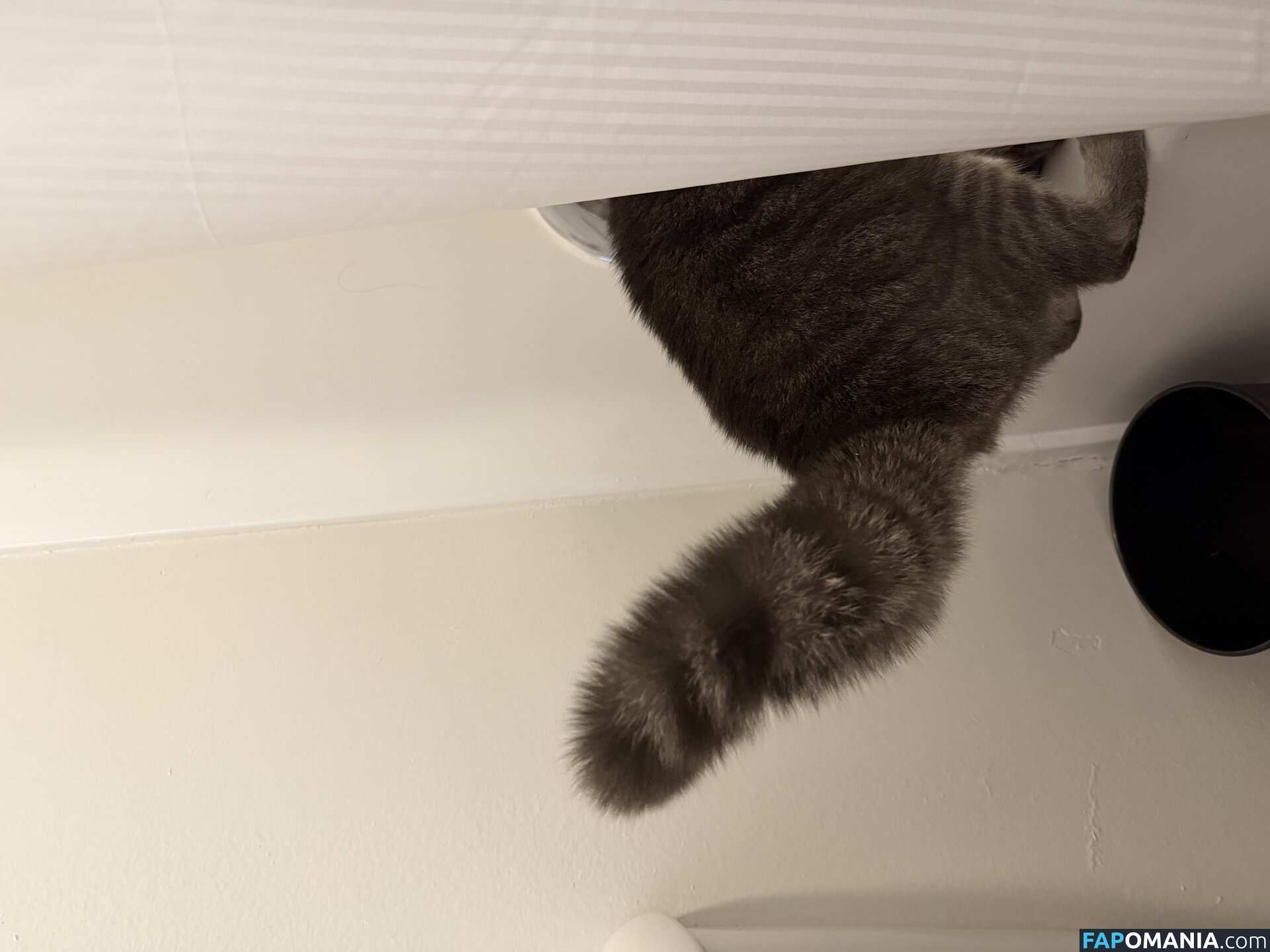 dahniks / dahnikz Naken OnlyFans  Läckta Foto #15