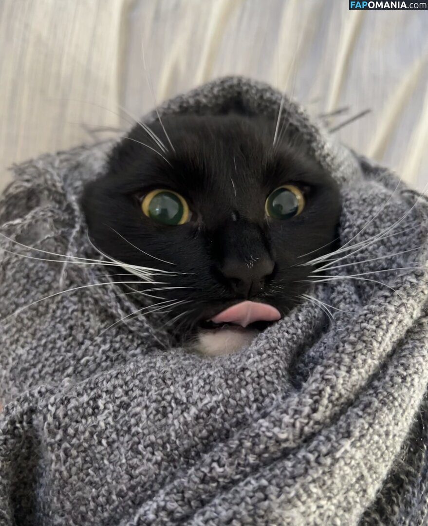 dahniks / dahnikz Naken OnlyFans  Läckta Foto #19