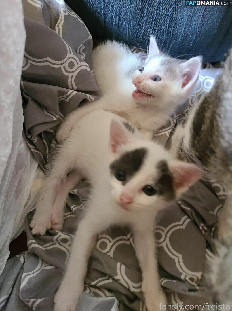 Freista / Tittykona / _mofreitas Naken OnlyFans  Läckta Foto #16