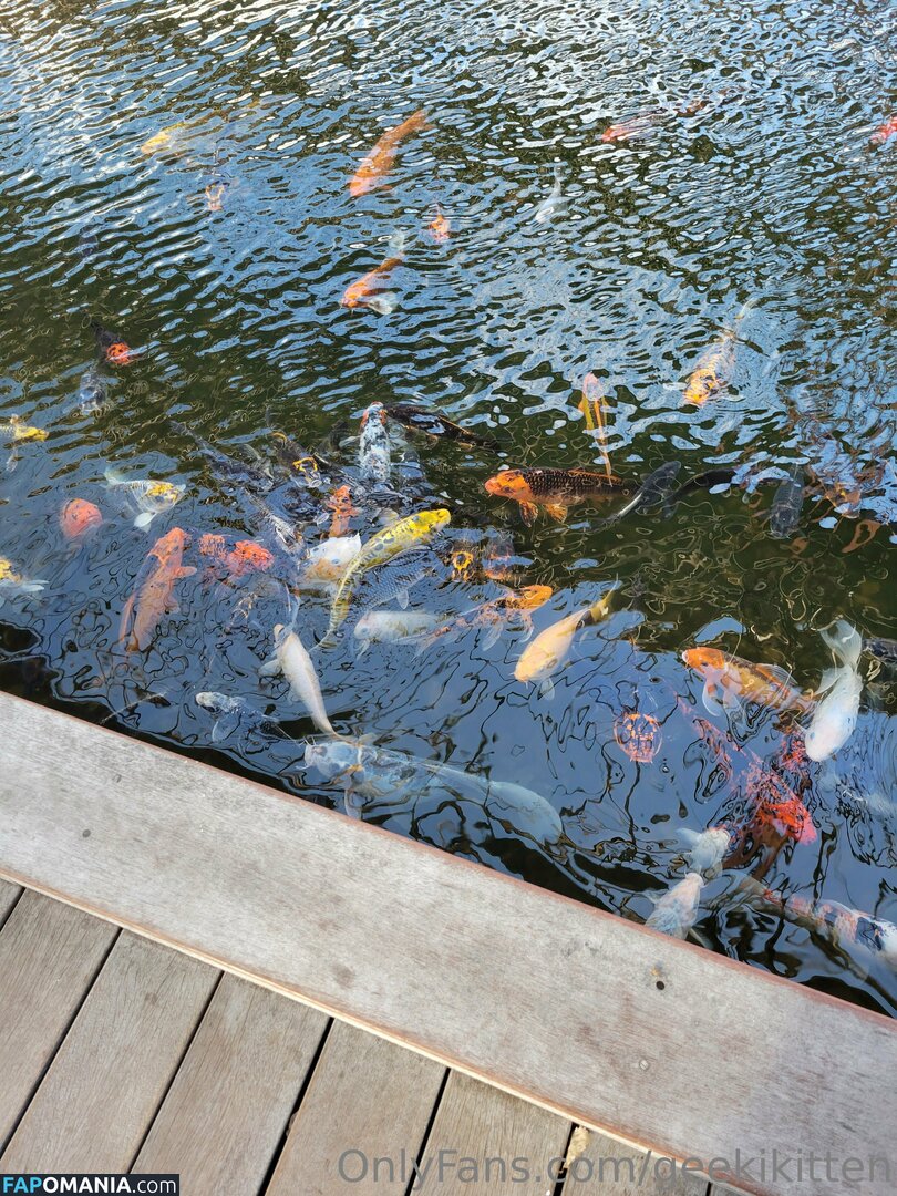 geekikitten / geekykittenxo Naken OnlyFans  Läckta Foto #4