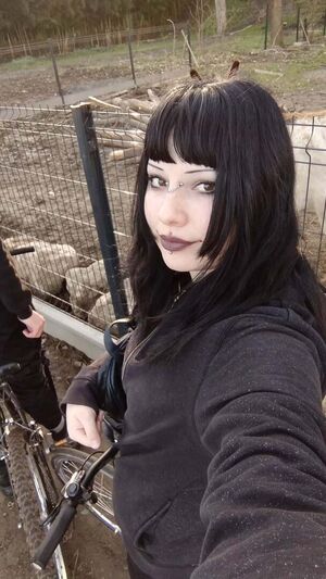 gothbynight