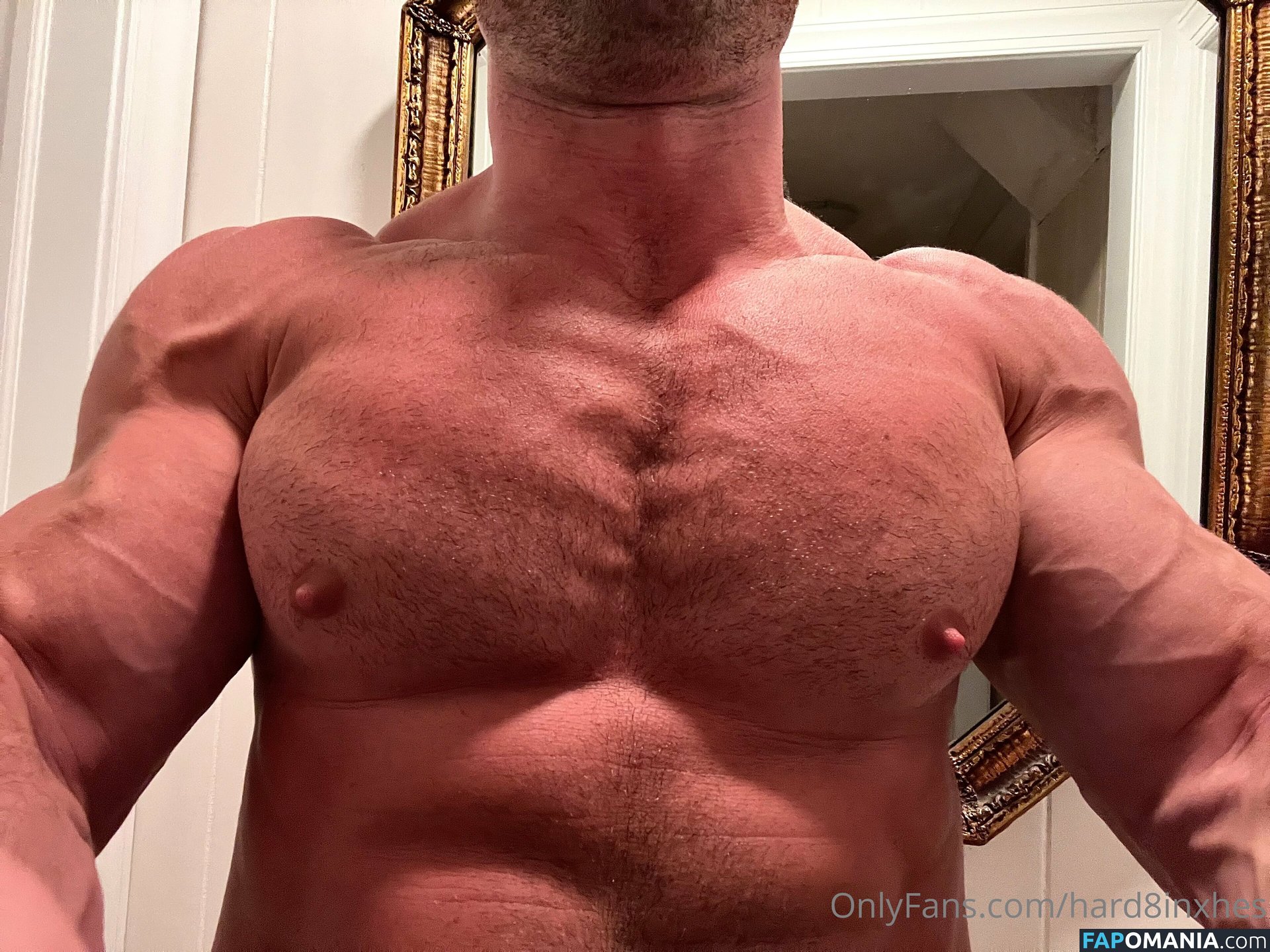 hard8inxhes Naken OnlyFans  Läckta Foto #4