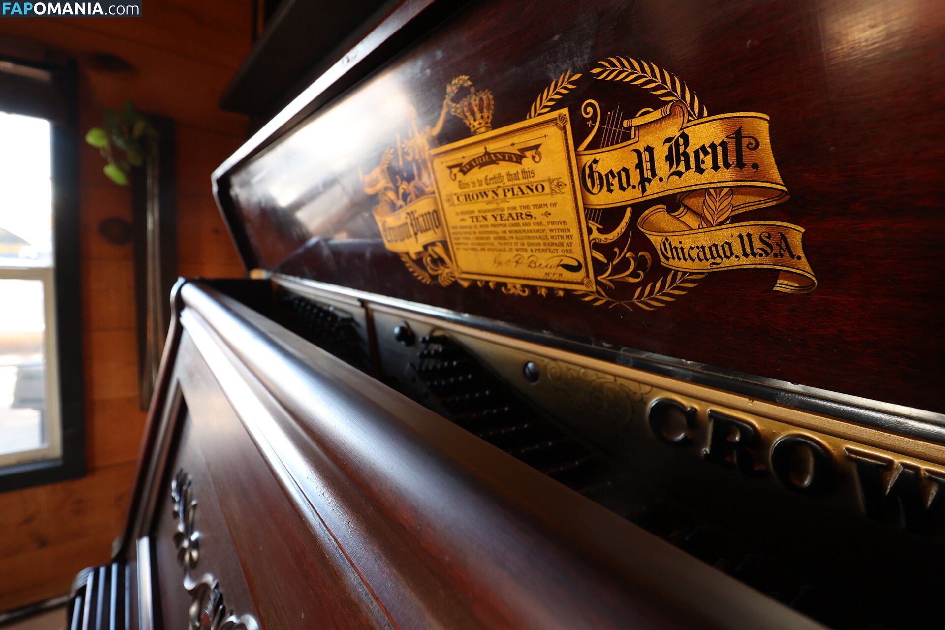 harlemhookup Naken OnlyFans  Läckta Foto #20