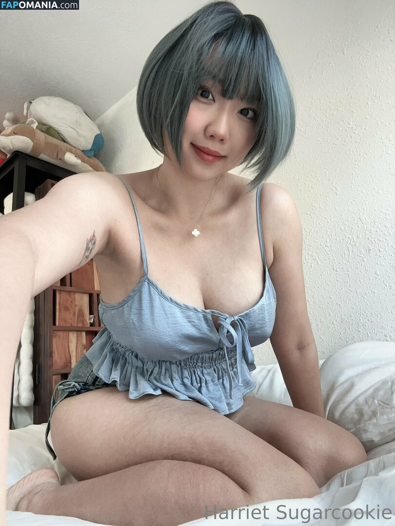 HSugarCookie / Harriet Sugarcookie / harrietsugarcookie / iamharrietsugarcookie Naken OnlyFans  Läckta Foto #85