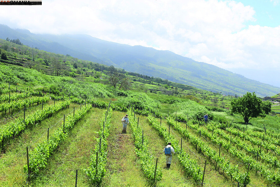 julia_lyn Naken OnlyFans  Läckta Foto #10