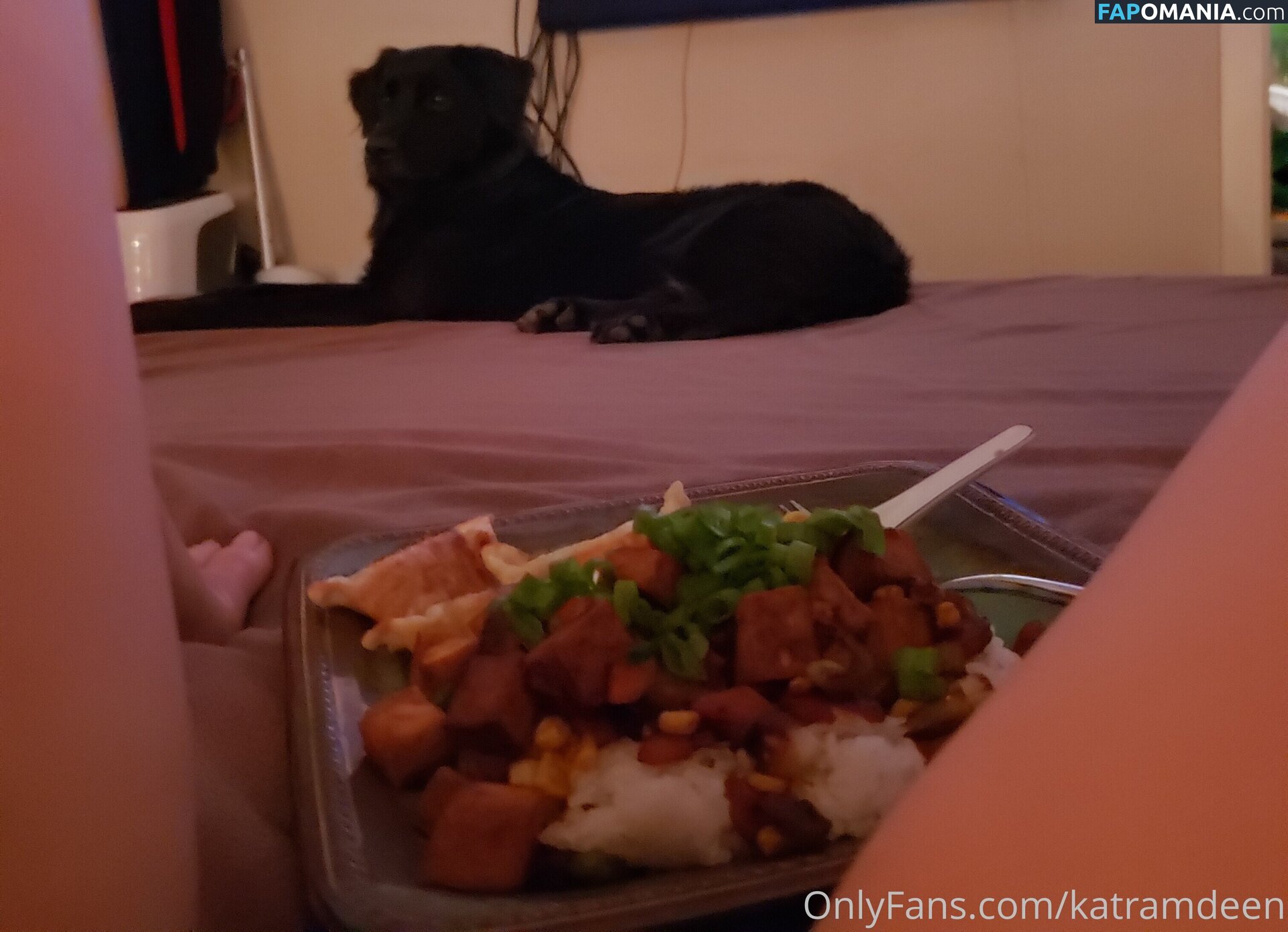 Katherine Ramdeen Naken OnlyFans  Läckta Foto #14