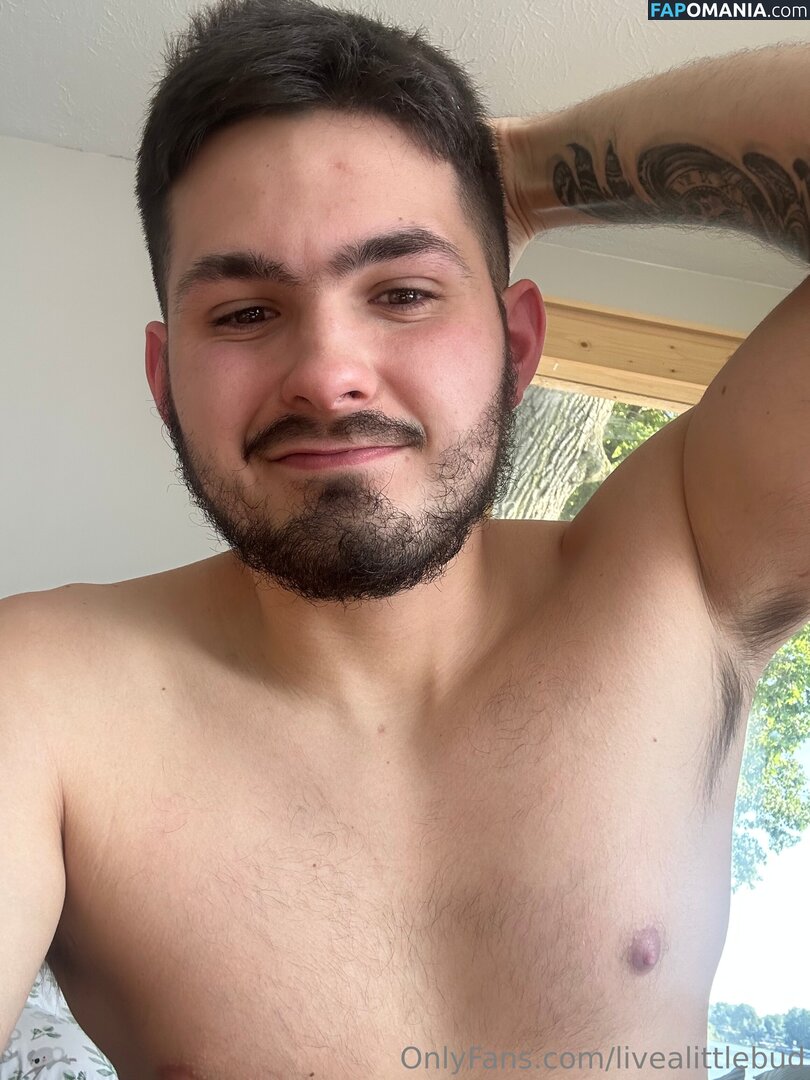 livealittlebud Naken OnlyFans  Läckta Foto #2
