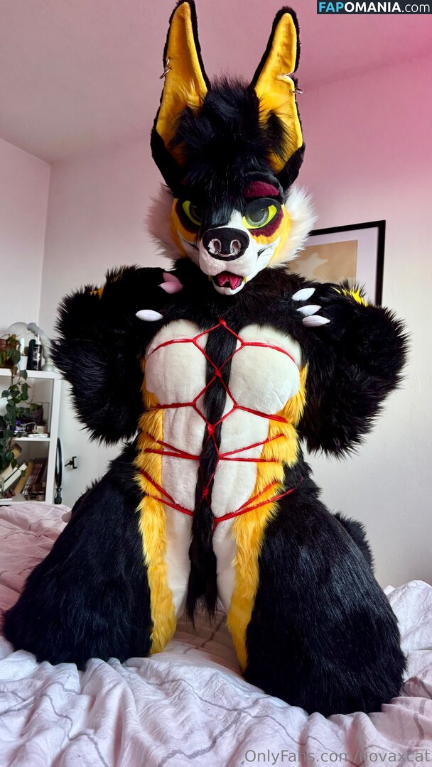 novaxcat / novaxxcat Naken OnlyFans  Läckta Foto #1