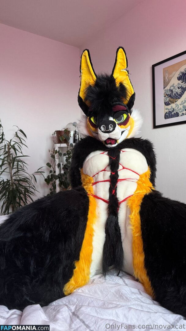 novaxcat / novaxxcat Naken OnlyFans  Läckta Foto #3