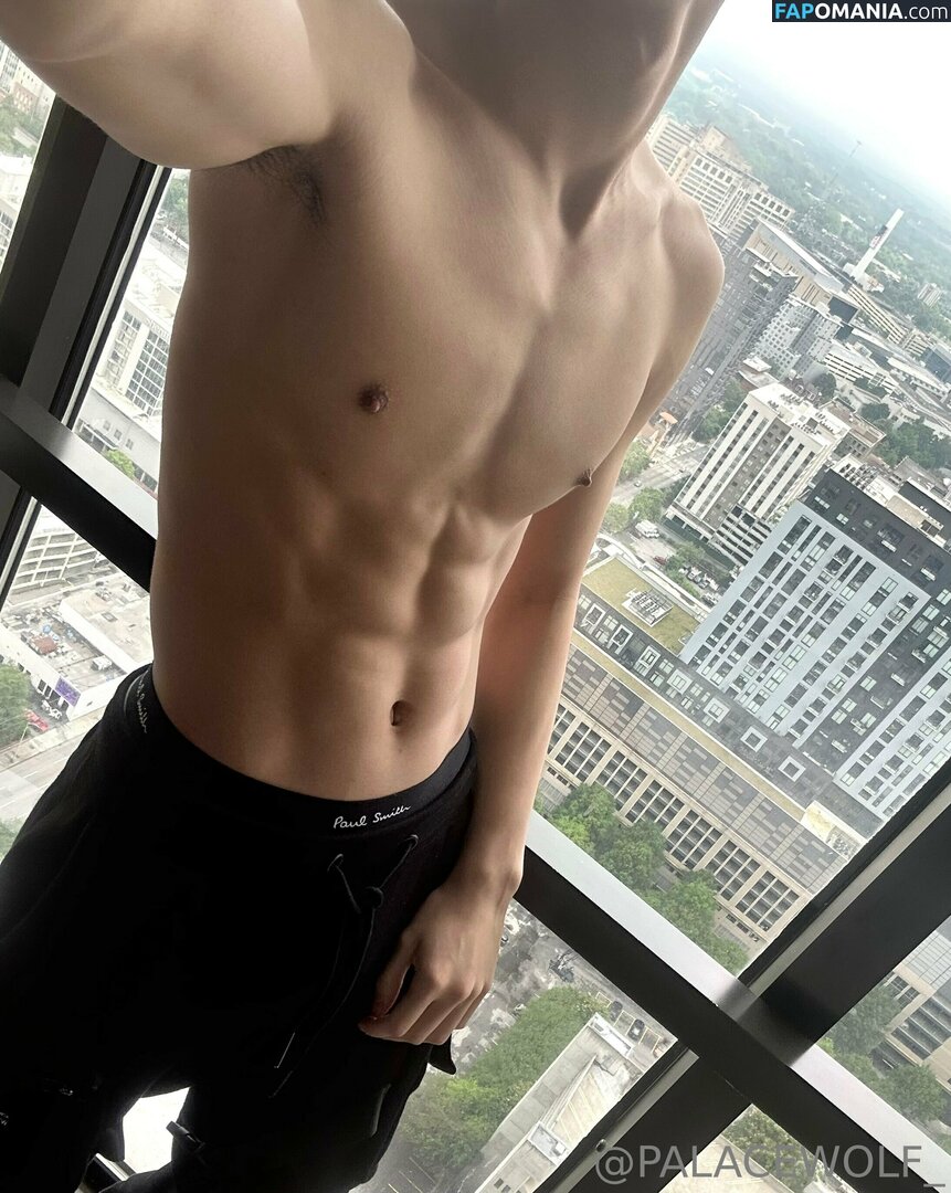 palacewolf / palacewolfent Naken OnlyFans  Läckta Foto #4