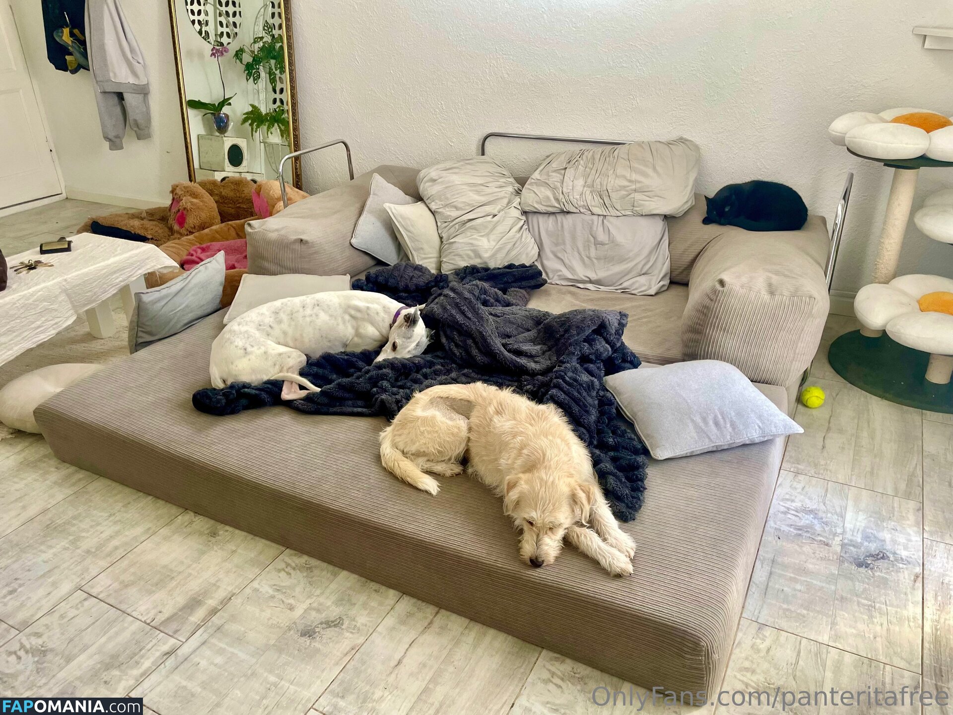 panteritafree Naken OnlyFans  Läckta Foto #6