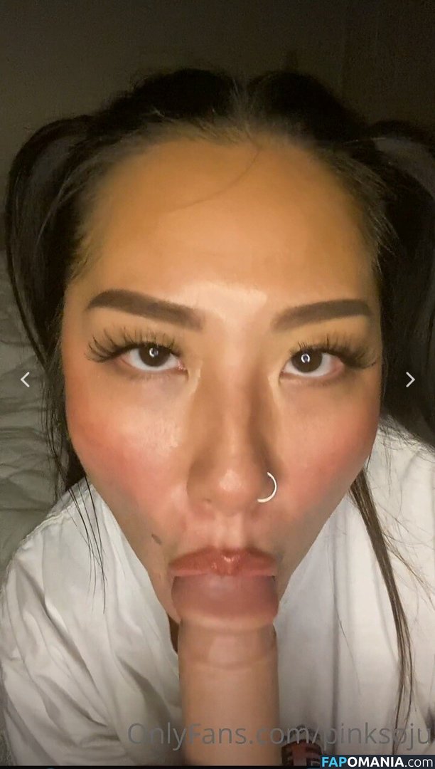 PlNKSOJU / denisetamsi / pinksoju Naken OnlyFans  Läckta Foto #11