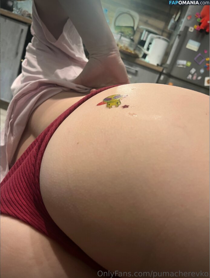 Margarita / Puma Cherevko / pumacherevko Naken OnlyFans  Läckta Foto #17
