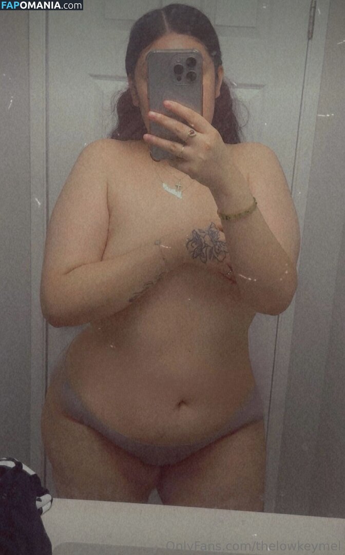 TheLowkeyMel / theofficiallmel Naken OnlyFans  Läckta Foto #12