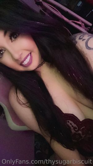 thysugarbiscuit