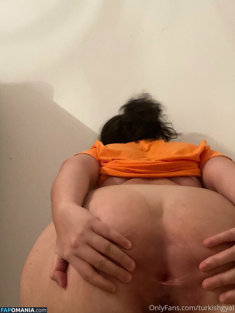 turkishgal / turkishgyal Naken OnlyFans  Läckta Foto #4