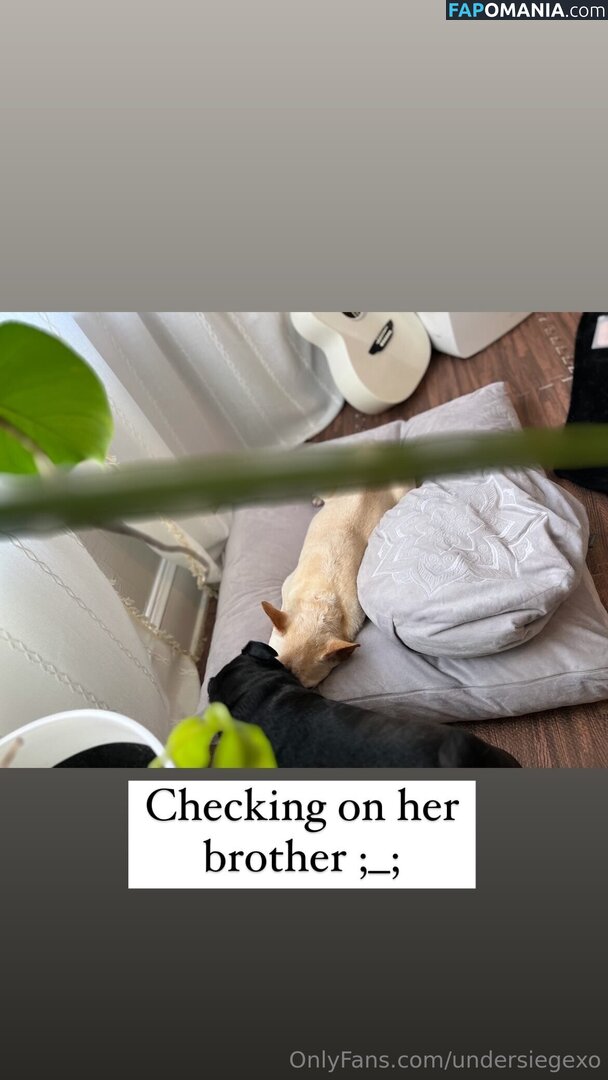 undersiegexo Naken OnlyFans  Läckta Foto #3