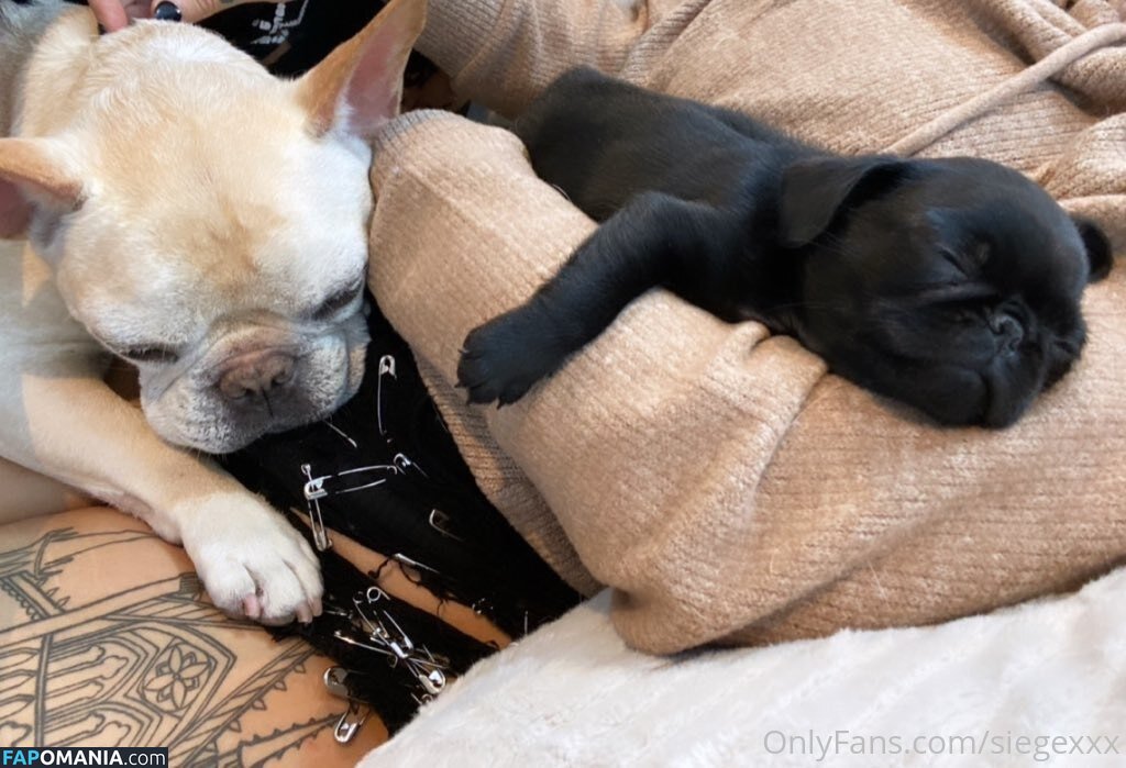 undersiegexo Naken OnlyFans  Läckta Foto #8