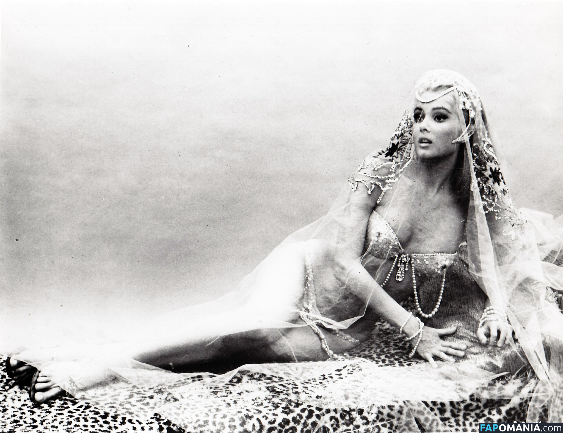 Vintage Starlets Naken OnlyFans  Läckta Foto #543