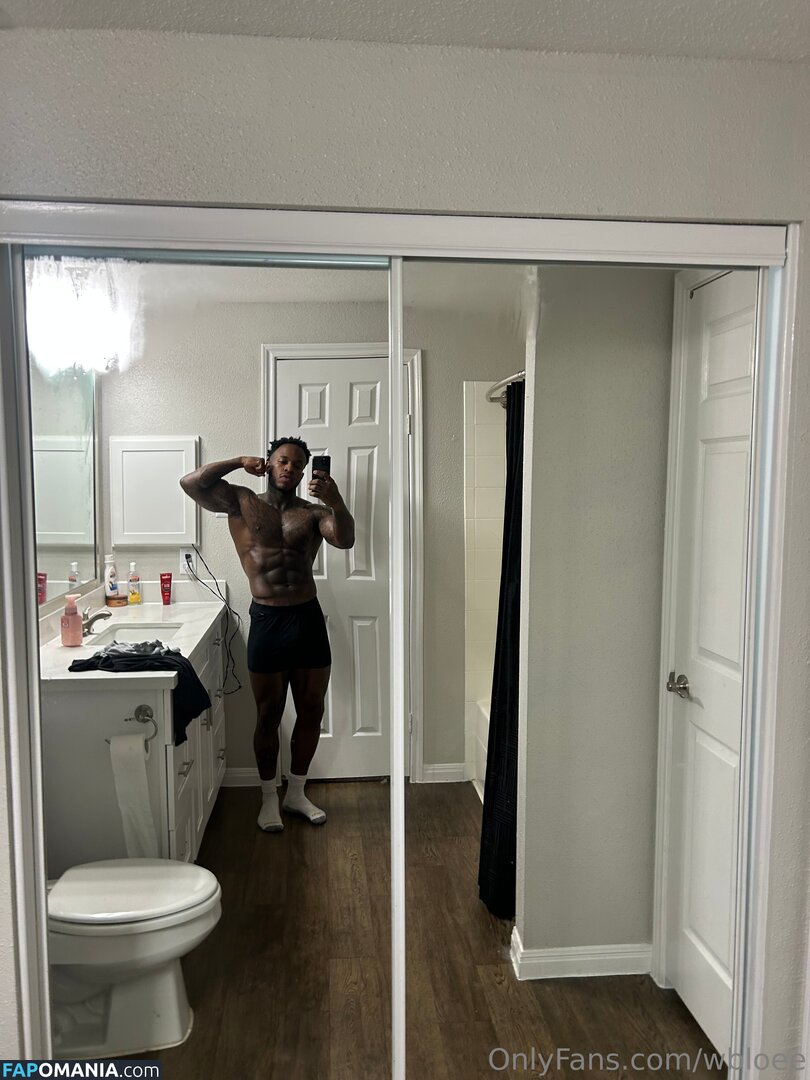 wb_loe / wbloee Naken OnlyFans  Läckta Foto #1