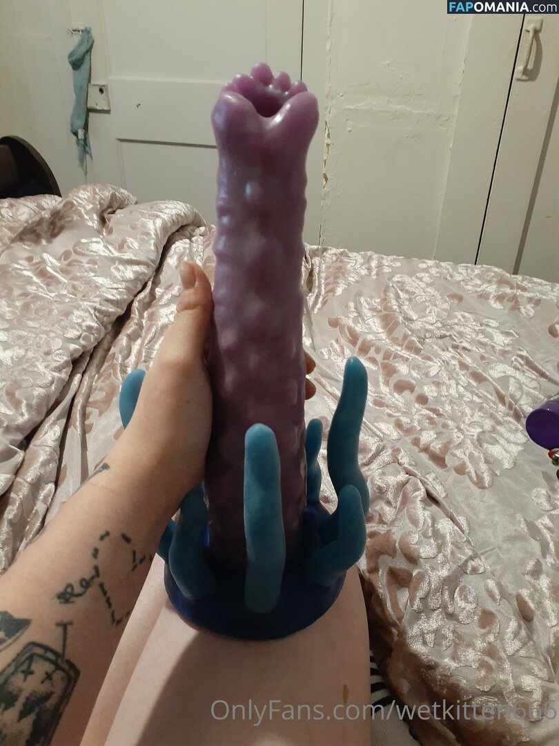 kitty.valentine.92372 / wetkitten666 Naken OnlyFans  Läckta Foto #13