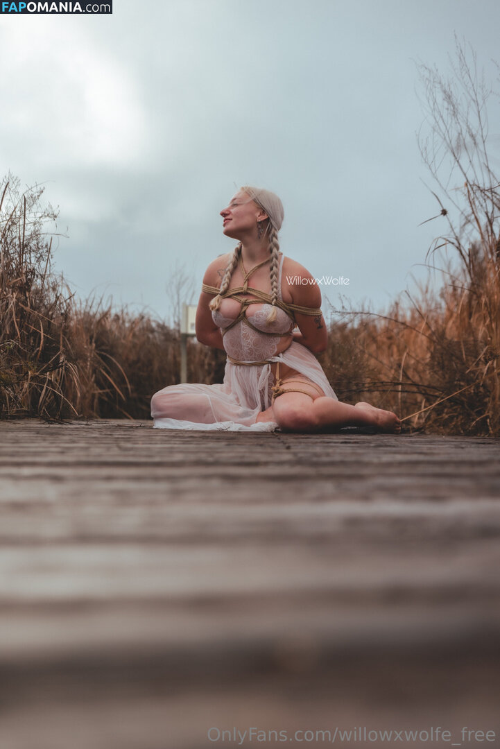 willowxwolfe / willowxwolfe_free Naken OnlyFans  Läckta Foto #11