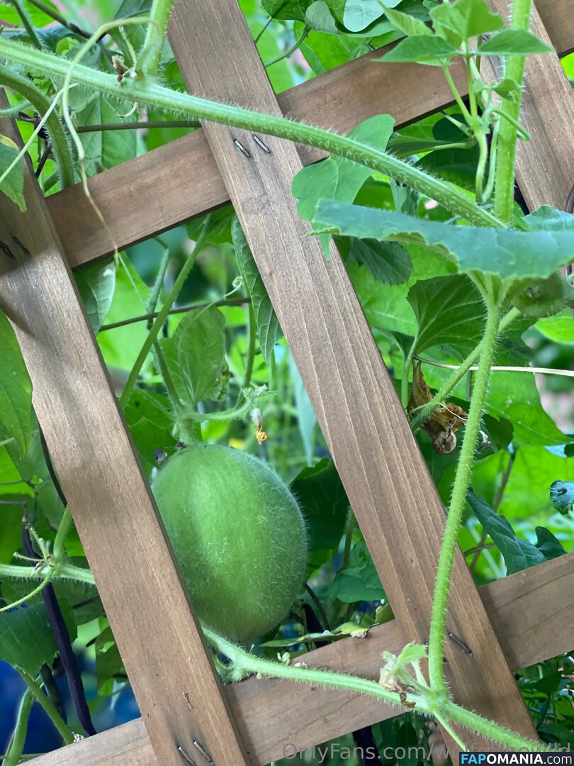 wolfofthewild / wolfofthewildd Naken OnlyFans  Läckta Foto #8