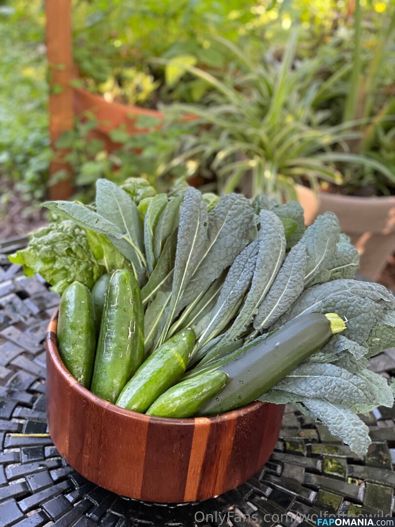 wolfofthewild / wolfofthewildd Naken OnlyFans  Läckta Foto #10