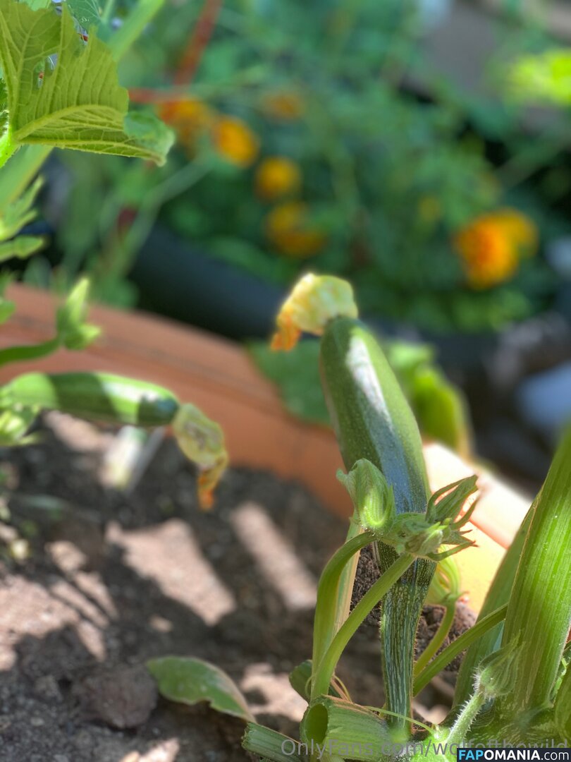 wolfofthewild / wolfofthewildd Naken OnlyFans  Läckta Foto #13