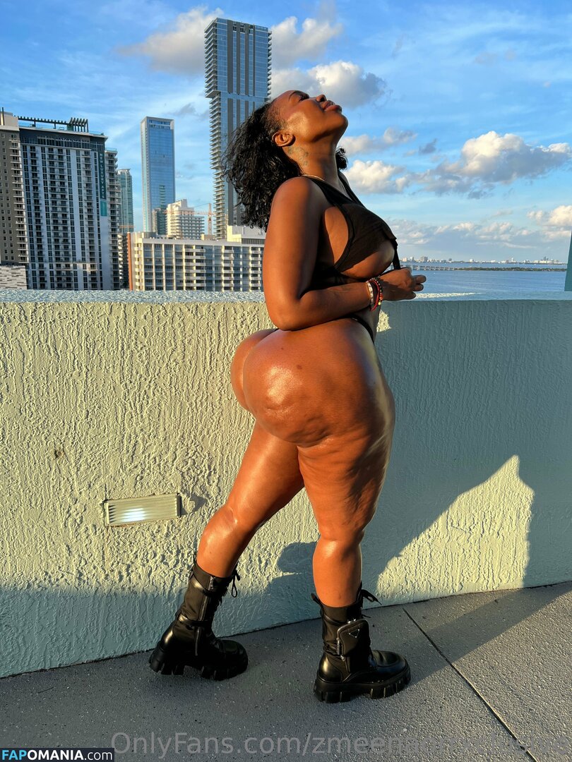 zmeenaorr / zmeenaorrxclusive Naken OnlyFans  Läckta Foto #12