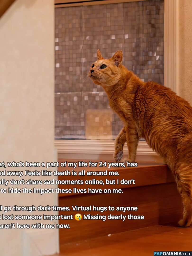 Zumi / zestyzumi Naken OnlyFans  Läckta Foto #120